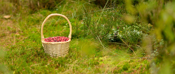 Similar image 22292849