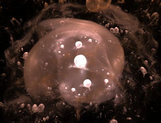 Similar image 22320732