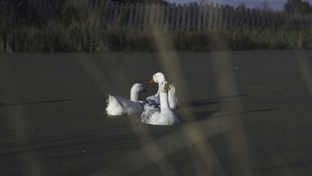 Similar image 22293564