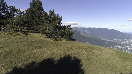 Similar image 22293566