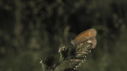 Similar image 22293926