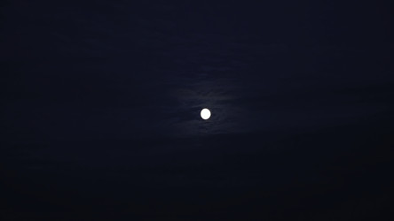 Similar image 22330445