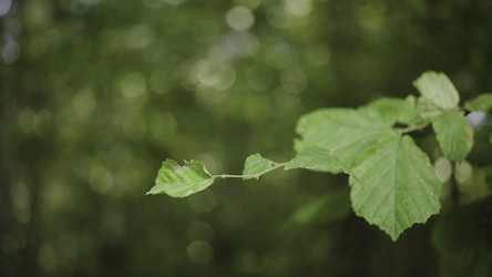 Similar image 22331451