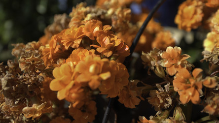 Similar image 22293569