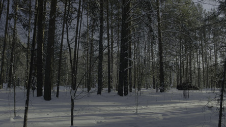 Similar image 22296625