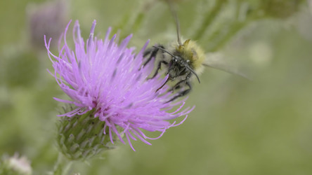 Similar image 22315625