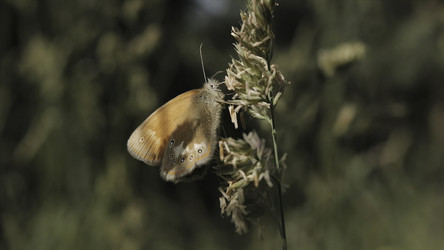 Similar image 22293956