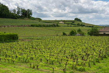 Similar image 22298794