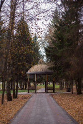 Similar image 22291145