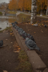 Similar image 22291147