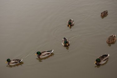 Similar image 22291148