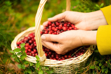 Similar image 22292401