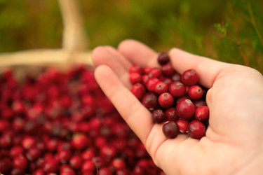 Similar image 22292403