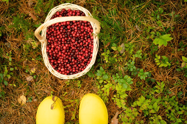 Similar image 22292418