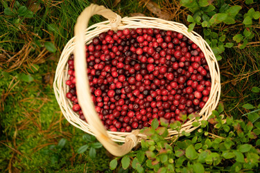 Similar image 22292419