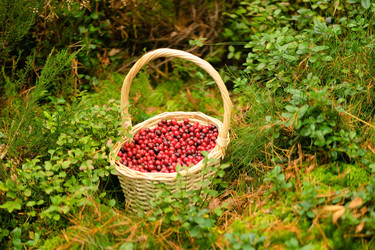 Similar image 22292420