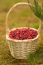 Similar image 22292422