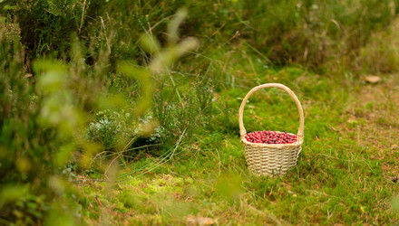 Similar image 22292423