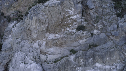 Similar image 22328162