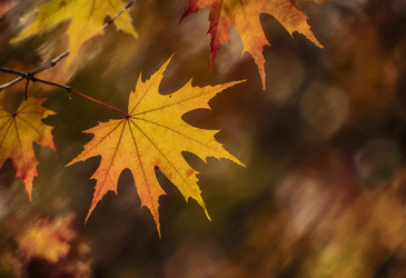 Similar image 22291045