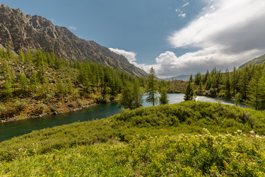 Similar image 22299153