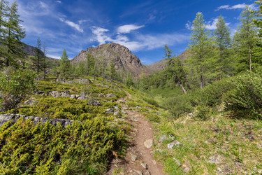 Similar image 22299396