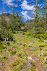 Similar image 22299397