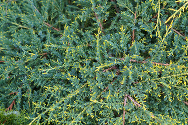 Similar image 22291797