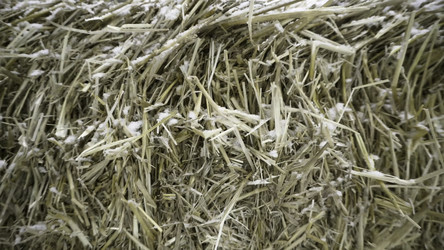 Similar image 22330080