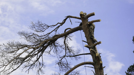 Similar image 22330447