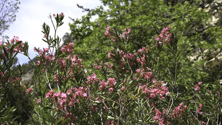 Similar image 22330891