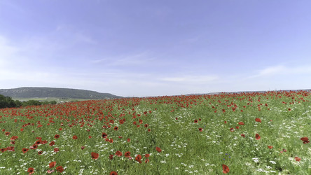 Similar image 22330892