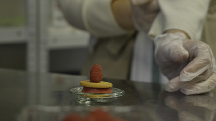 Similar image 22331237