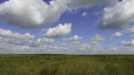 Similar image 22290857