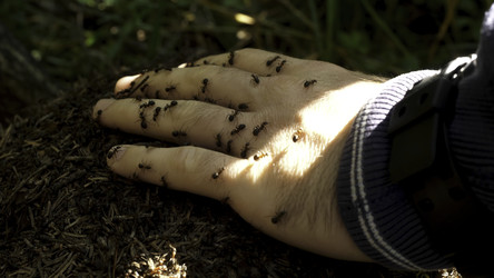 Similar image 22293462