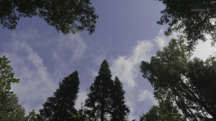 Similar image 22293576