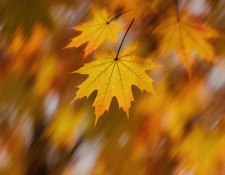 Similar image 22291050