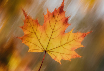 Similar image 22310389