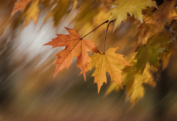 Similar image 22310390