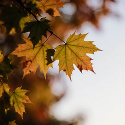 Similar image 22310394