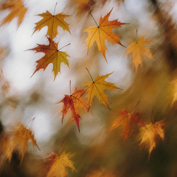 Similar image 22310672