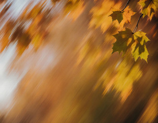 Similar image 22310931