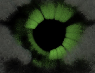 Similar image 22320745