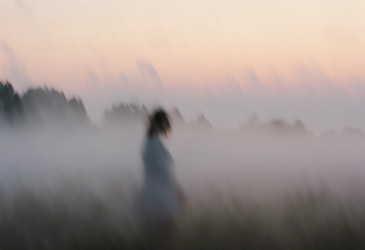 Similar image 22310941