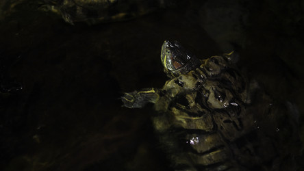 Similar image 22293968