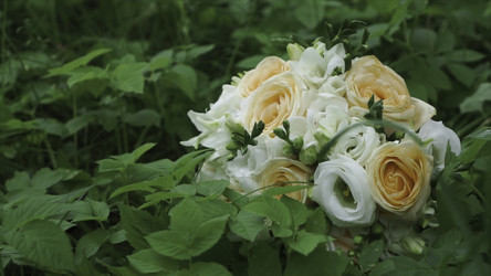 Similar image 22296631