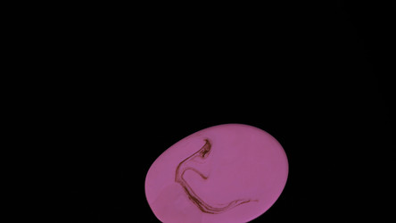 Similar image 22328168