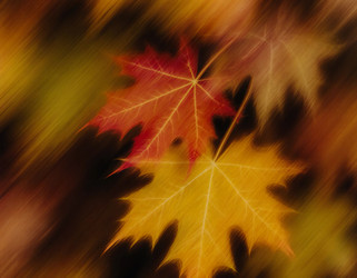 Similar image 22291055