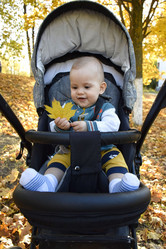 Similar image 22296284