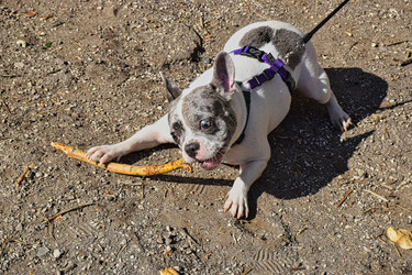 Similar image 22294399